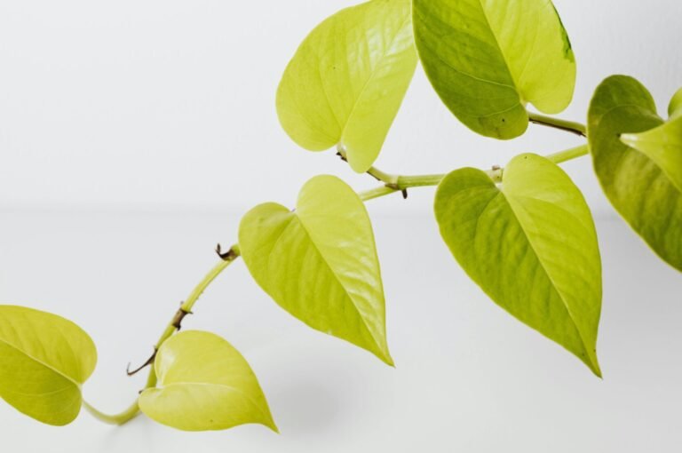 China Umweltschutz 2025